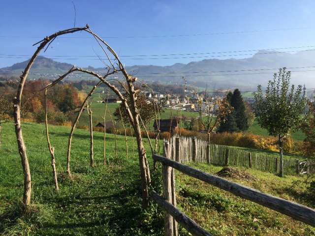 Wildbienengarten